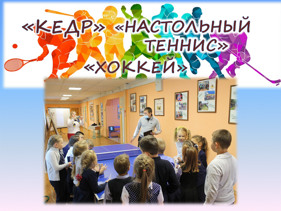 Секции "Кедр", "Настольный теннис", "Хоккей".